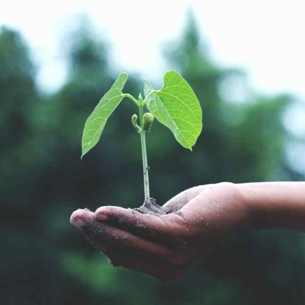 sustainable
