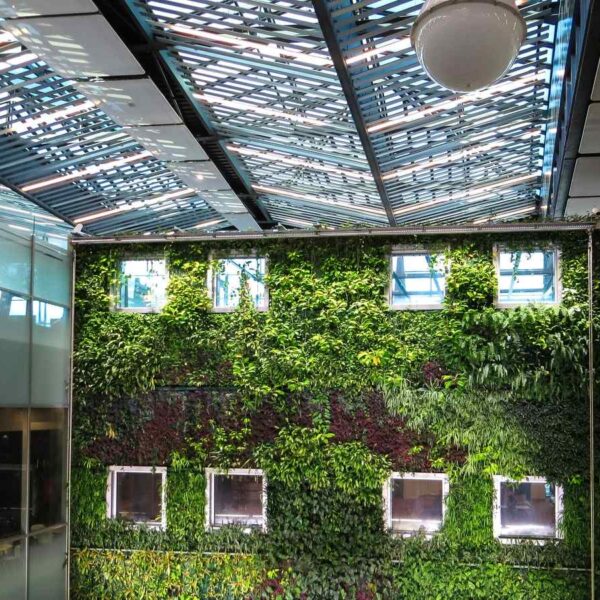 vertical gardening