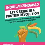 Veganuary 2024 campaign – driving global change with a plant-based challenge Veganuary 2024 campaign – driving global change with a plant-based challenge