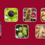Sugar Defender Reviews: A Natural Solution for Blood Sugar Support in 2024
