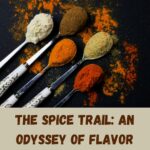 Akshay Mehndiratta Spice Trail - An Odyssey of Flavour