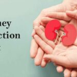 How to Know if Your Kidneys are Functioning Well? How to Know if Your Kidneys are Functioning Well?