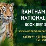 Exploring the Wilderness: A Thrilling Wildlife Safari at Ranthambore National Park Exploring the Wilderness: A Thrilling Wildlife Safari at Ranthambore National Park